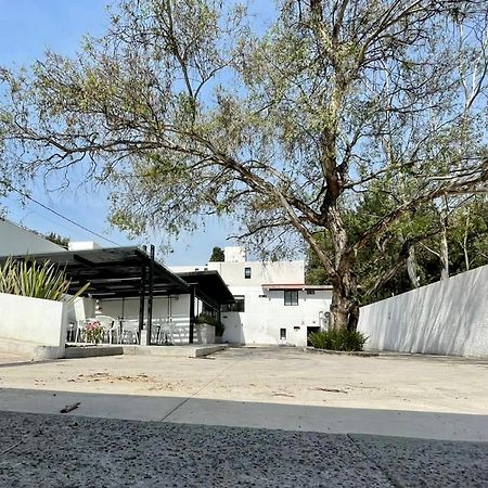 Casa Bonsai Bed & Breakfast Ciudad de México Exterior foto