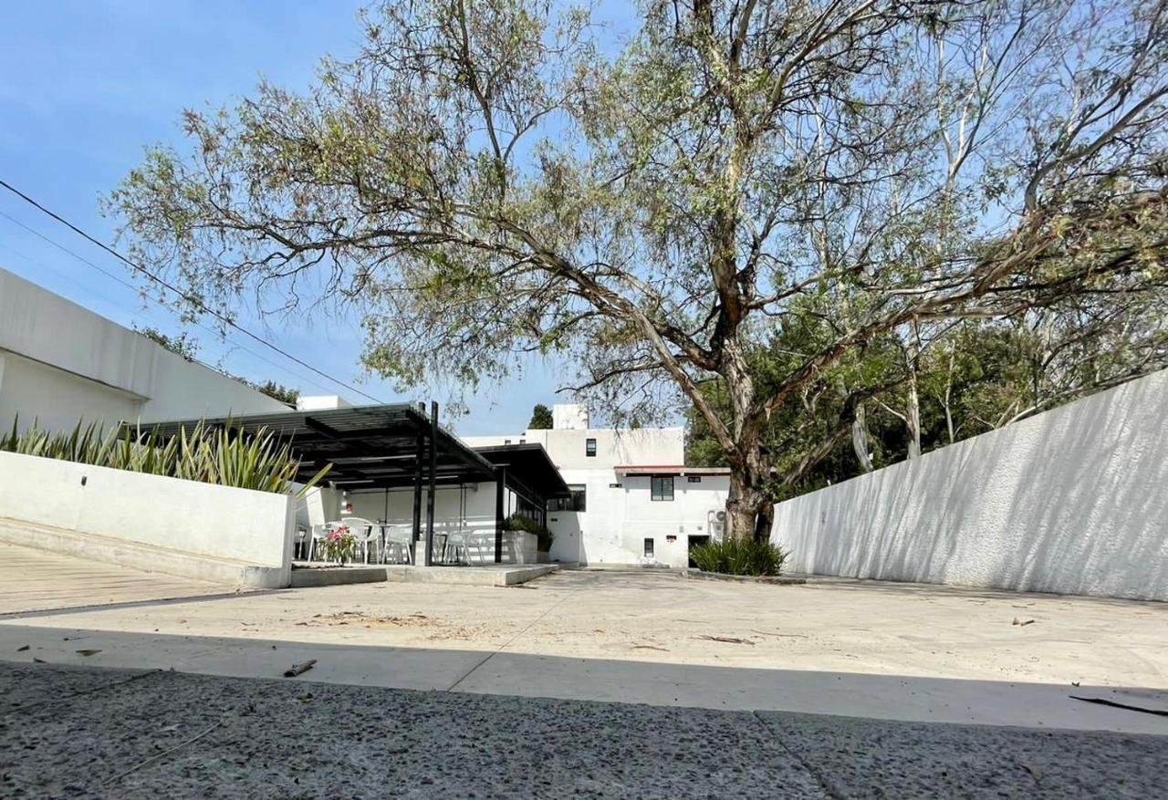 Casa Bonsai Bed & Breakfast Ciudad de México Exterior foto