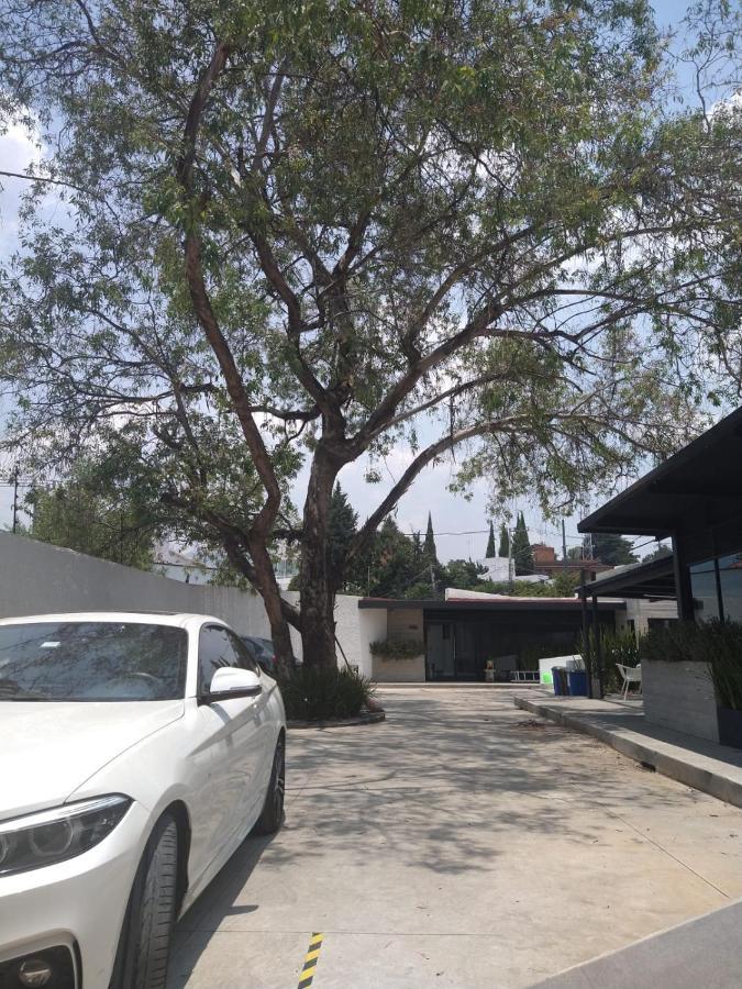 Casa Bonsai Bed & Breakfast Ciudad de México Exterior foto
